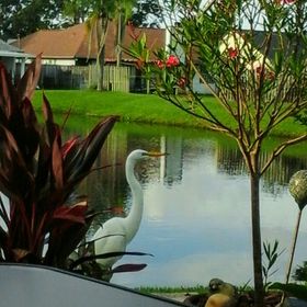 Profile Picture of carol groves (@floridalife4me) on Pinterest