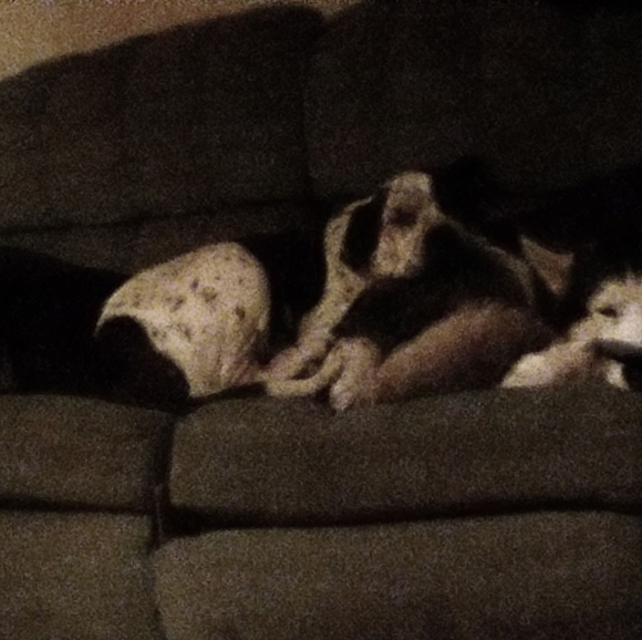 Profile Picture of Robert Glover (@robertglover762) on Poshmark