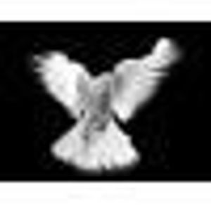 Damien Fontaine - Myspace Profile Picture of Damien Fontaine (@322982460) on Myspace