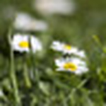 Profile Picture of David Gould (@daveyguk) on Flickr