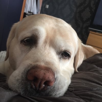 Profile Picture of Craig Morgan (@claude7676) on Twitter