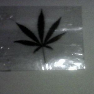 Profile Picture of Alex Maravi Yarin (@AlexYarin) on Twitter