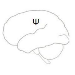 Profile Picture of Rex Cannon (@neuralpotential) on Twitter