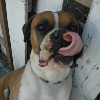 Profile Picture of Janet Valladares (@janetvalla) on Twitter