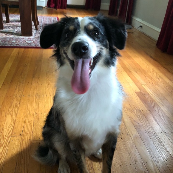 Holly Hartner - Poshmark Profile Picture of Holly Hartner (@hollyhartner) on Poshmark