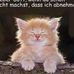 Profile Picture of Josephine Schneider (@josephine.schneider.522) on Facebook