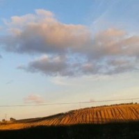 Profile Picture of Lisa Laverty (@lisa-laverty-5) on Quora