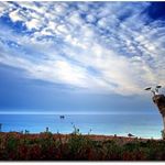 Melissa Douglas - Instagram Profile Picture of Melissa Douglas (@sliwka.michal) on Instagram