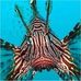 Profile Picture of Peter Wilbert (@peter.wilbert.16) on Facebook