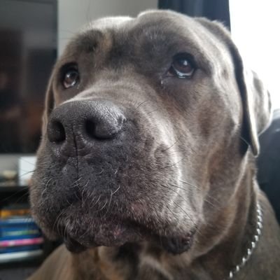 Profile Picture of Patrick Giroux (@PatrickGiroux3) on Twitter