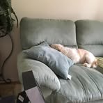 Beverly Squier - Facebook Profile Picture of Beverly Squier (@beverly.squier.5) on Facebook