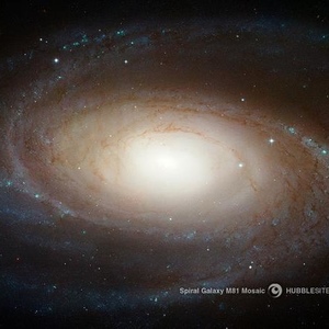 Profile Picture of Thomas Moritz (@thundusah) on Myspace