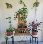 Profile Picture of Colette Hutton (@colette.hutton) on Facebook