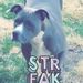 Profile Picture of Tony curtis (@tarrington928) on Pinterest