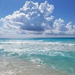 Profile Picture of Diane Andrews (@fdtrk83) on Instagram