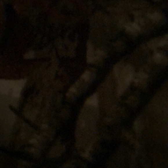 Profile Picture of Brandon Vicknair (@brandonvicknair) on Poshmark