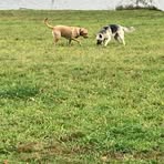 Profile Picture of James Baranowski (@James-Baranowski) on Facebook