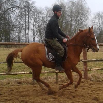 Profile Picture of Paweł Jabłoński (@Eniu1234) on Twitter