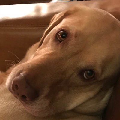 Profile Picture of JasonRicketts (@jasonrick) on Twitter