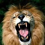 Profile Picture of Debra Batowick (@batowick) on Instagram
