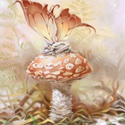 Profile Picture of Janet Hartman (@JanetHartman20) on Twitter