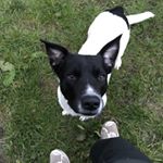 Profile Picture of William Hunter (@oorbigwull) on Instagram