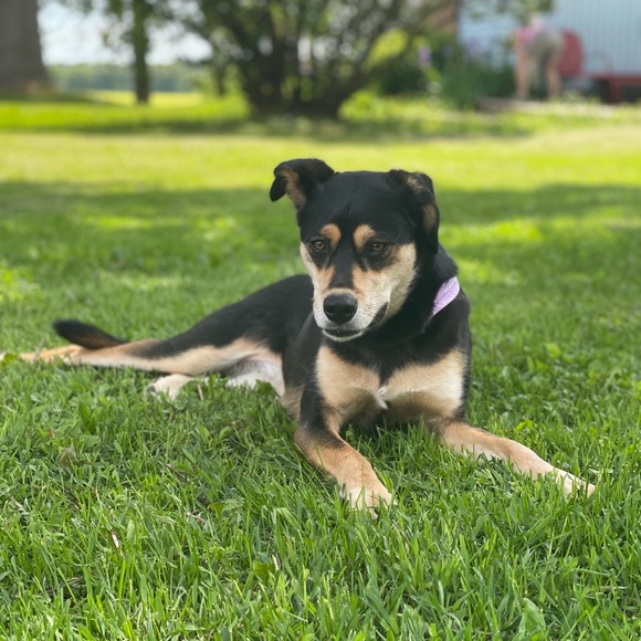 Profile Picture of Britni Haakenson (@britnihaakenson) on Poshmark