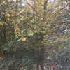 Profile Picture of Ivanemi (@@emily_spring) on Tiktok