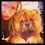 Profile Picture of Richard Lyall (@stahledgerforum) on Instagram