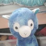 Profile Picture of Robert Lofthouse (@robertlofthouse52) on Instagram