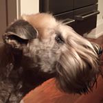 Profile Picture of Julianne Peterson (@julezynation) on Instagram