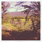 Profile Picture of Henrique Leonardo dos santos silva (@henriquemusicalforever) on Flickr