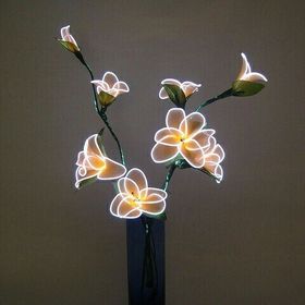 Profile Picture of Sheryl Fernandes (@sherylfernandes03) on Pinterest