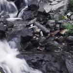 Profile Picture of James_Branch (@james_branchj) on Instagram