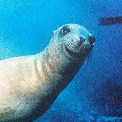 Profile Picture of James Moy (@moysie06) on Twitter