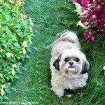 Debra Hoskins - Instagram Profile Picture of Debra Hoskins (@debrahoskins) on Instagram