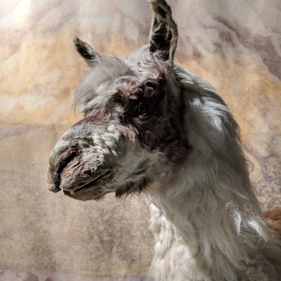 Profile Picture of Benjamin Siebert (@BenjaminSieber5) on Twitter