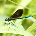 Profile Picture of John Cahill (@jjcahill2002) on Flickr