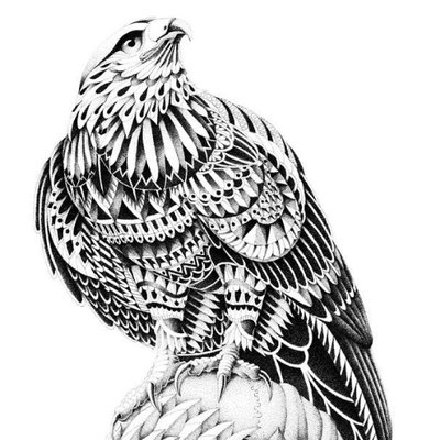 Omar Olivares - Twitter Profile Picture of Omar Olivares (@omarolivares23) on Twitter