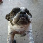 Profile Picture of Gerald Adcock (@gerald.adcock.3) on Facebook