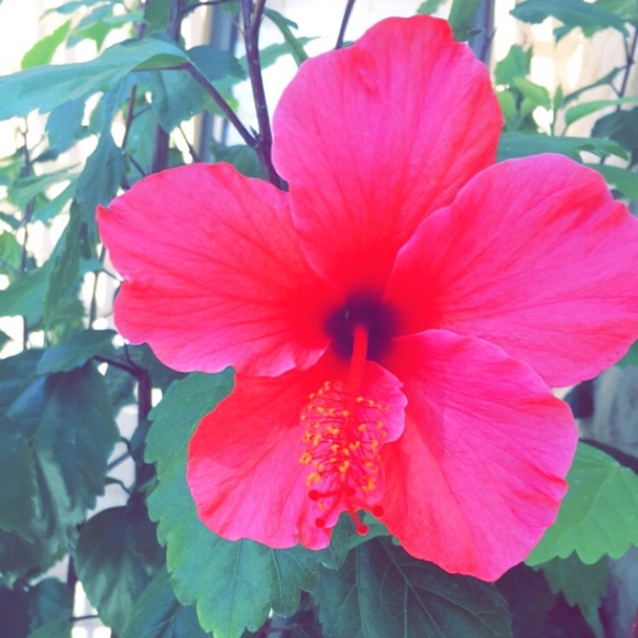 Profile Picture of Mia Richards (@miarich3) on Poshmark