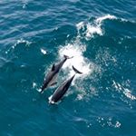 Profile Picture of Jessica Hewson-Scott (@jessicahs_photography) on Instagram