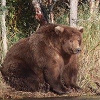 Profile Picture of Merk  (@merk-25) on Quora