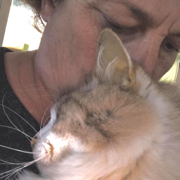 Terri webster Rodick - Poshmark Profile Picture of Terri webster Rodick (@terri3333) on Poshmark