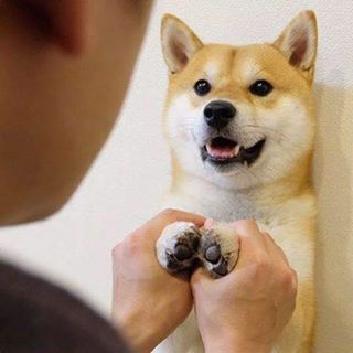 Profile Picture of Kim  Dongsun (@kim.dongsun.96) on Facebook