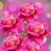 Profile Picture of Janet Contreras Mudarra (@janet.contrerasmudarra.7) on Facebook