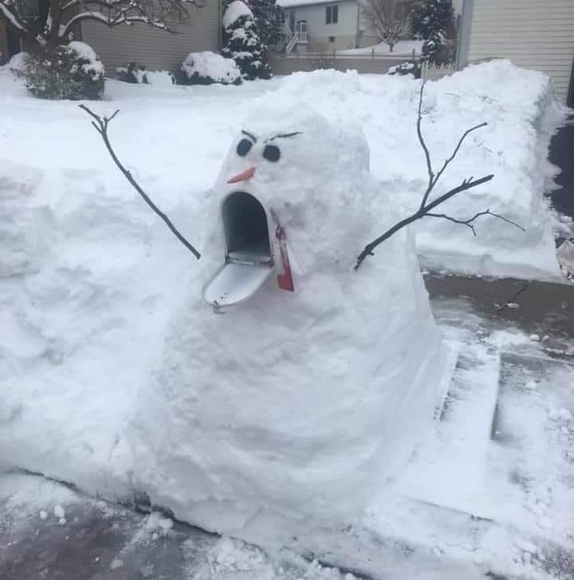 Profile Picture of Charolette Longhitano (@clonghitano63) on Poshmark