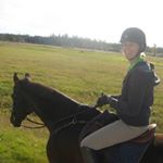 Profile Picture of Jan Traversy (@jantraversy) on Instagram