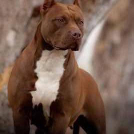 Profile Picture of Jeremy  Hiskey (@james9660) on Twitter