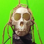 Profile Picture of Matthew Bober (@mattbstudio) on Instagram